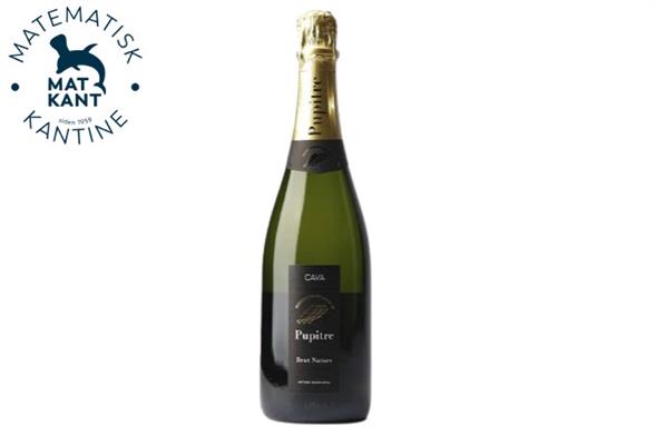 Cava Pupitre Brut Nature